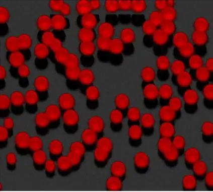 Fluorescent Uniform Latex Particles (FLULP)