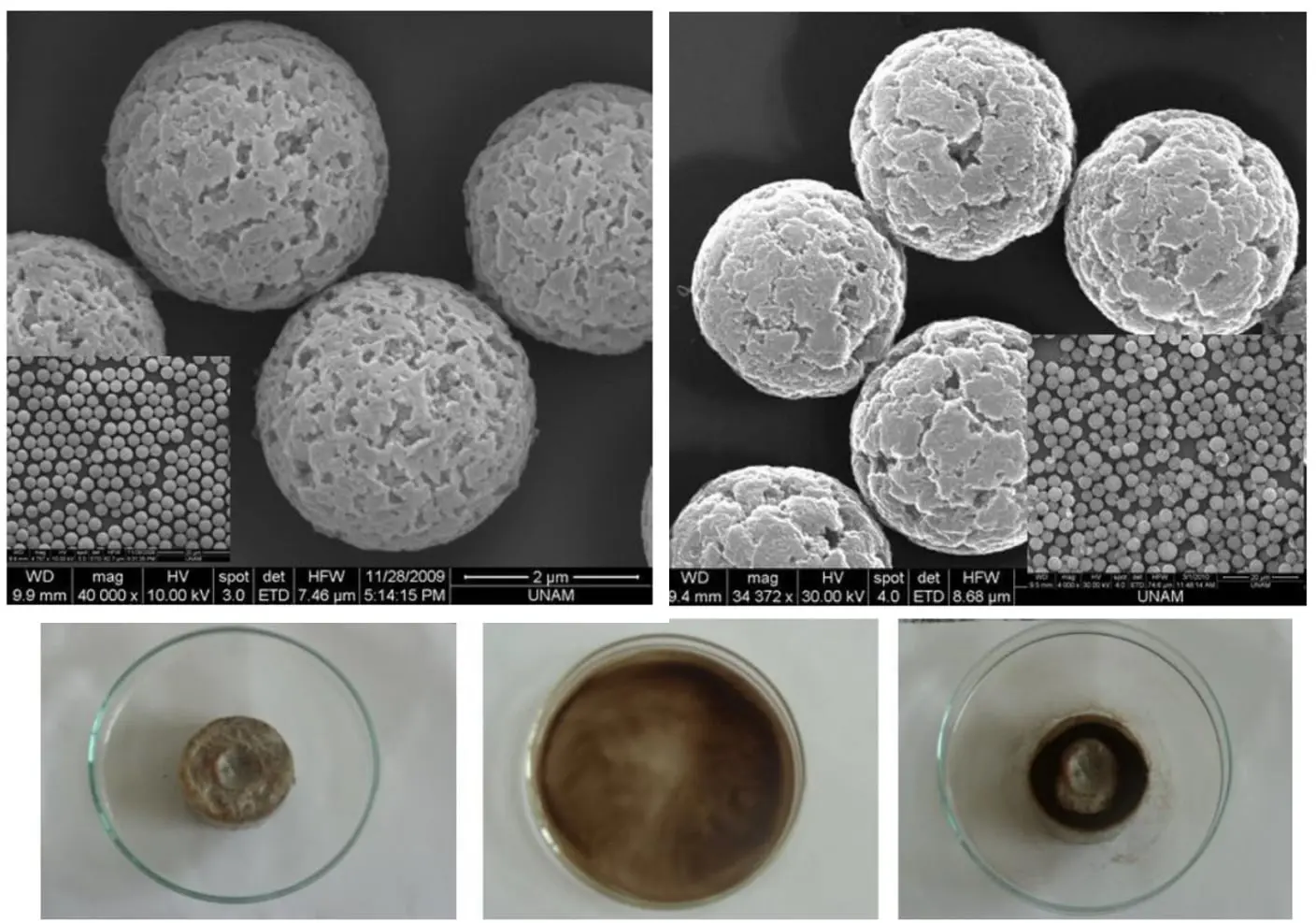 Fonksiyonel, Manyetik Gözenekli Mikroküreler (1.0-10.0 µm) - FMPM