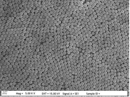 Functional Uniform Crosslinked Latex Particles (FUCLP)