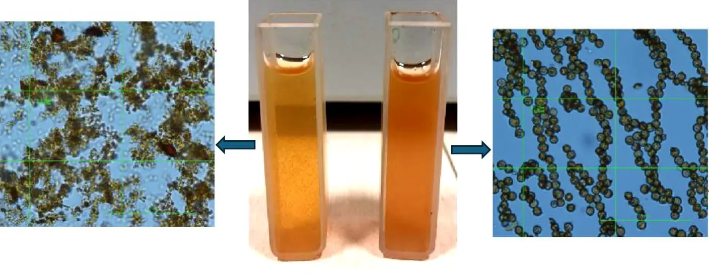  Genomic DNA Isolation Kit with Magnetic Silica Microspheres (GDNA-IK-mSi)