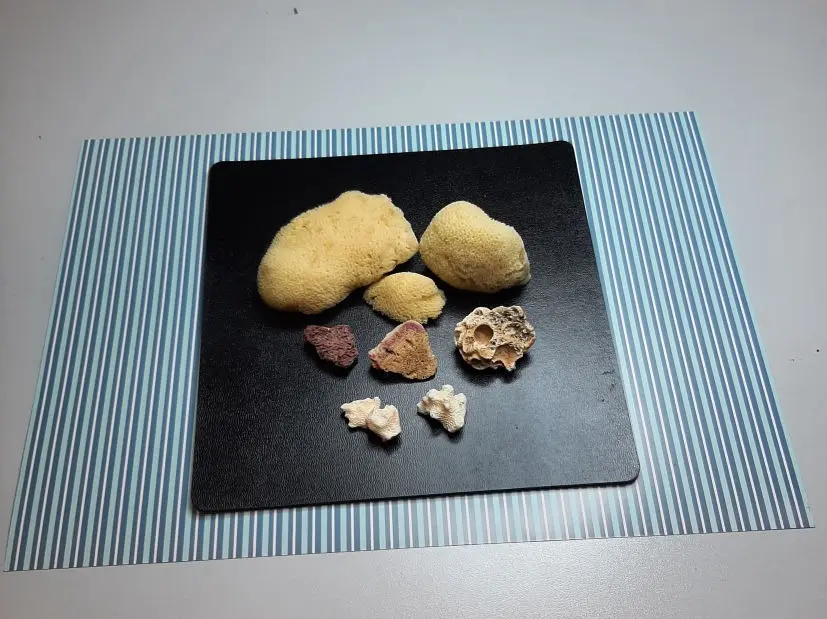 Composites and natural materials