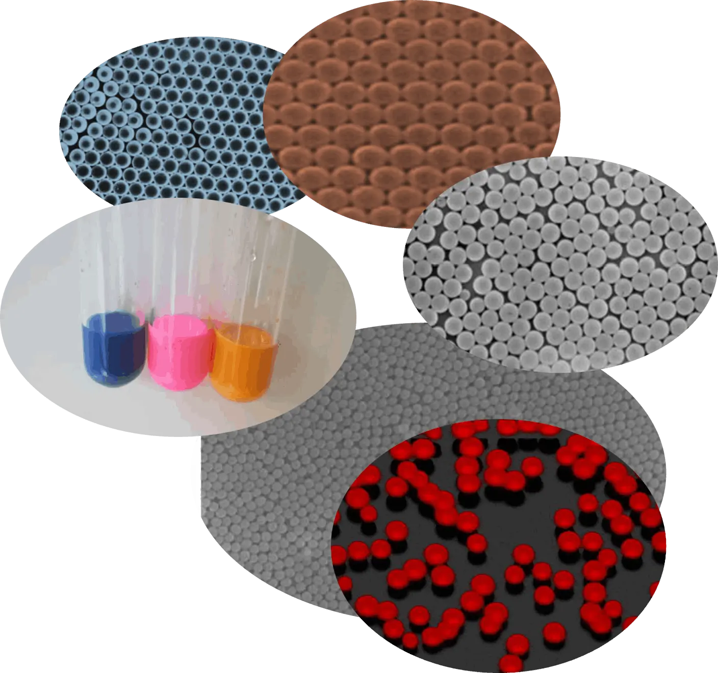 Latex Particles (LP) 