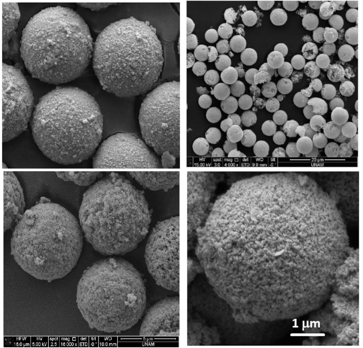 Manyetik, gözenekli, metal oksit mikroküreler (MPMOM)