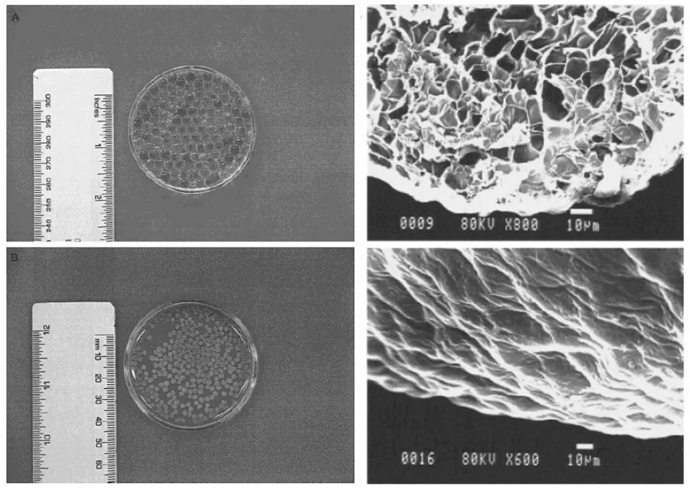 PH Duyarlı LUSHM- PLUHSM