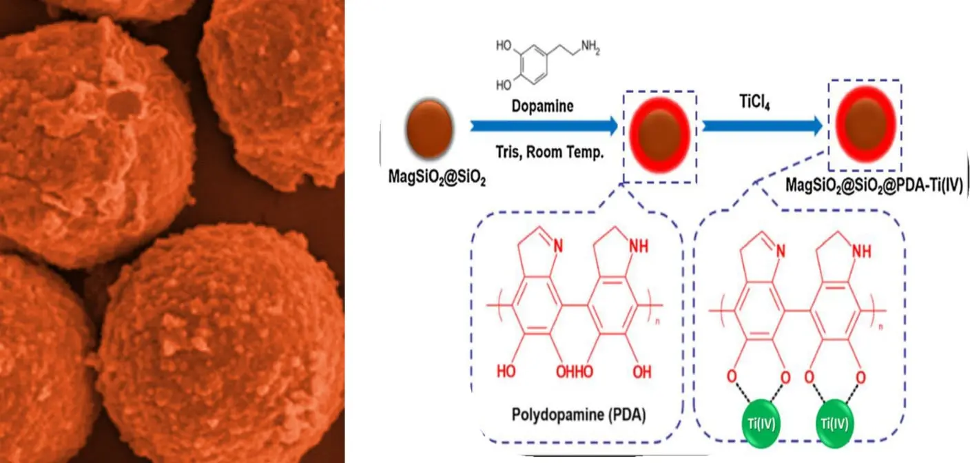 Phosphopeptide Isolation Kit with Magnetic Silica Microspheres (PIDK-mSi)