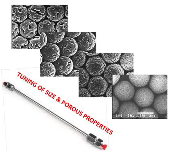 Ters Faz Modu için Polimer Bazlı HPLC Kolonları-PHPLC-C