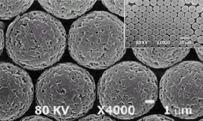 Boyut Dışlama Kromatografi Kolonları-SECC