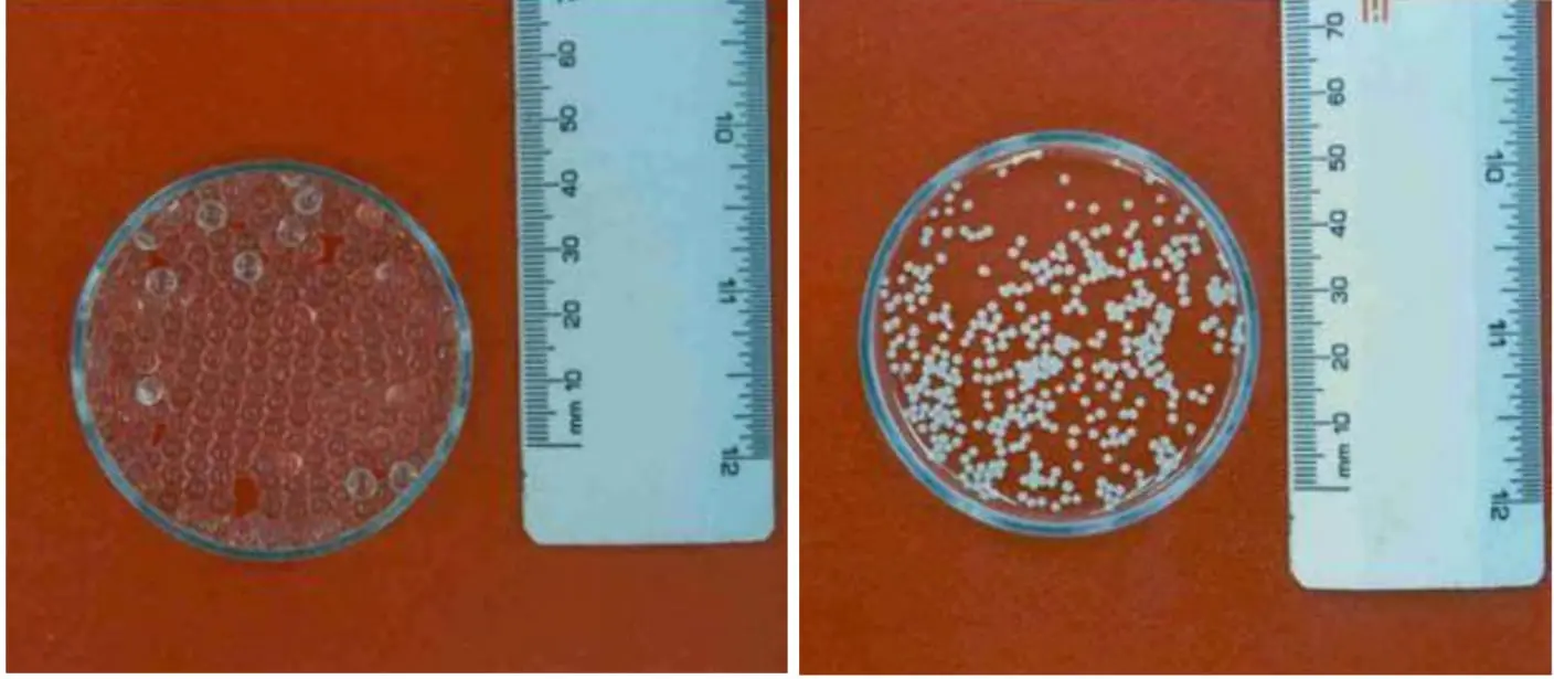 Sıcaklığa Duyarlı- TLUSHM