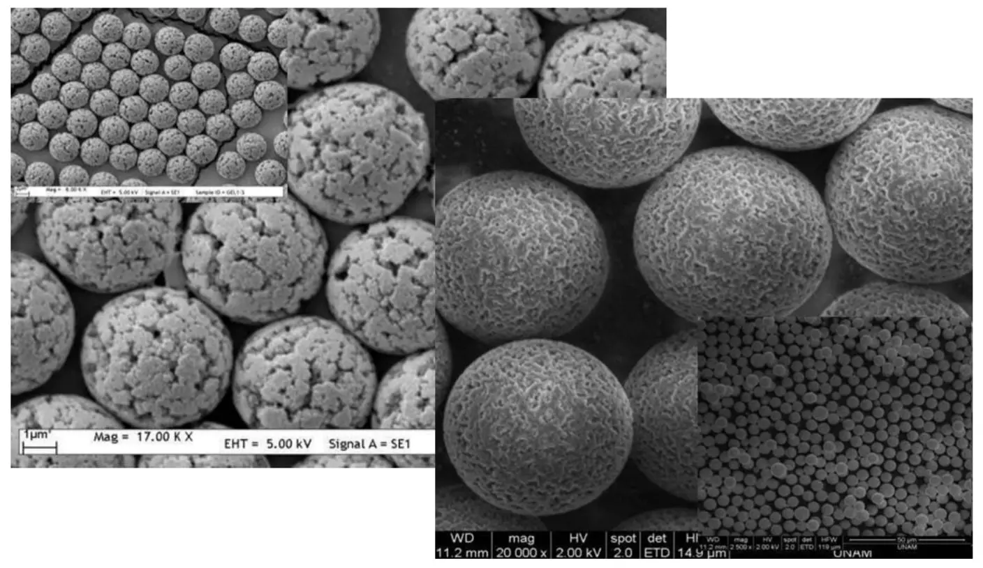 Tek Tip, Gözenekli, Hidrofilik Çapraz Bağlı Mikroküreler (2.0-5.0 µm) - UPHCM