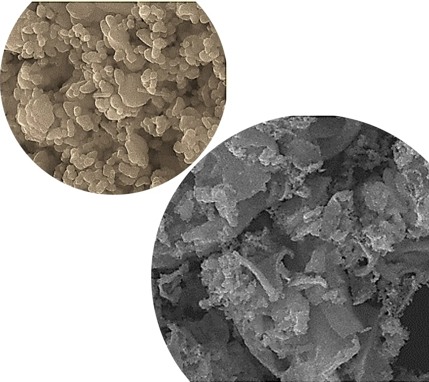 Zinc Oxide Nano Particle